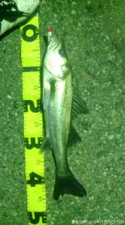 �����Х�