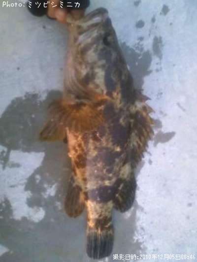 �����Υ���Х�