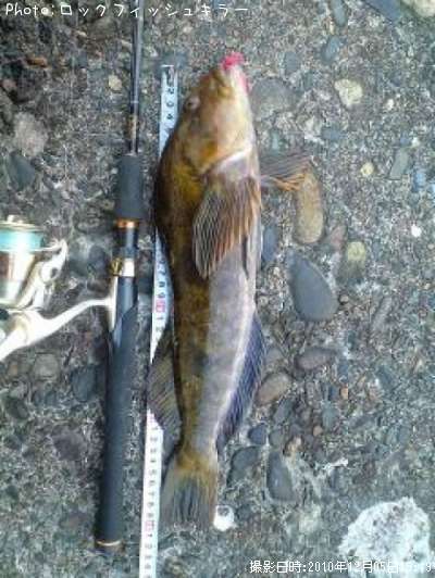 �����ʤ�