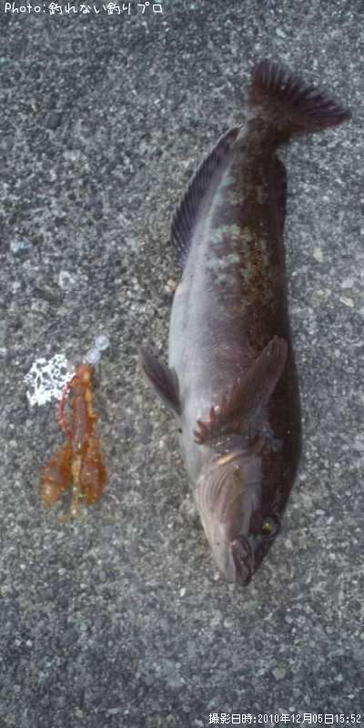 �����ʥ�