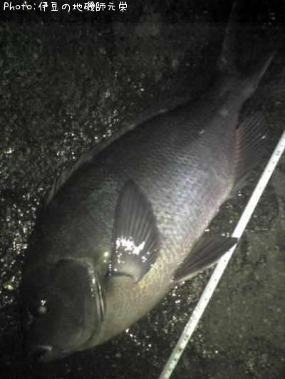 �����᥸��