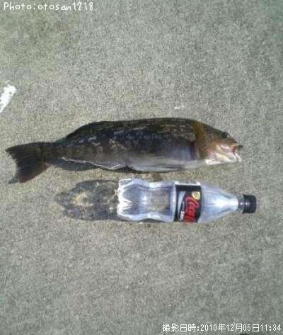 �����ʥ�