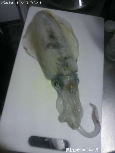 �����ꥤ��