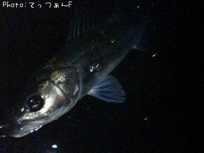 �ޥ륹����