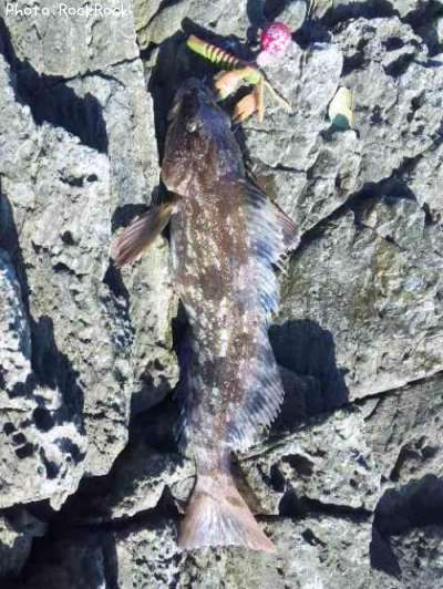 �����ʥ�