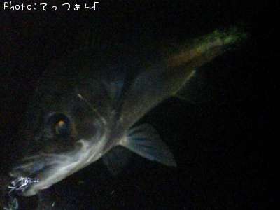 �ޥ륹����