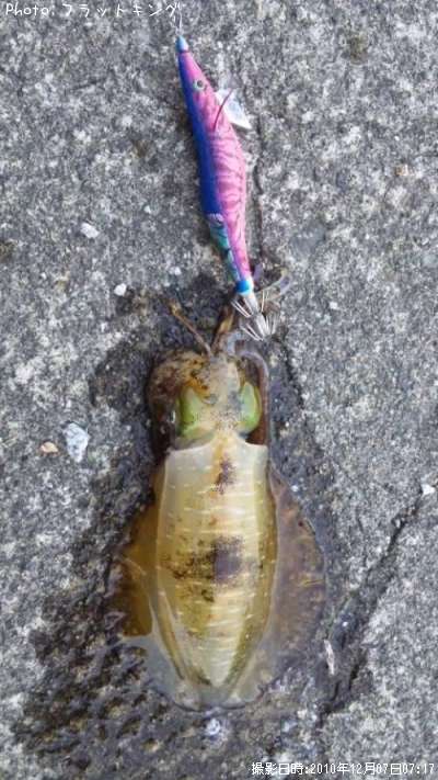 �����ꥤ��