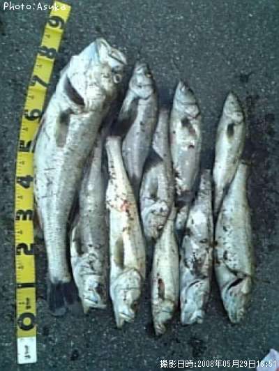 �����Х�