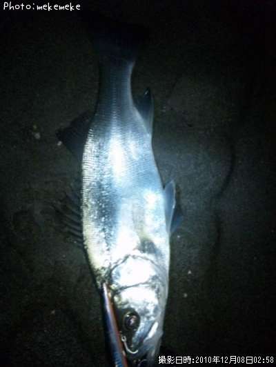 �ҥ饹����