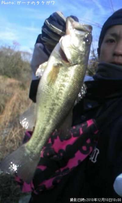 �֥�å��Х�