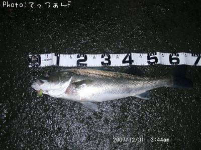 �ޥ륹����