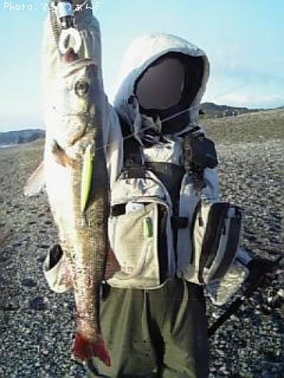 �ޥ륹����