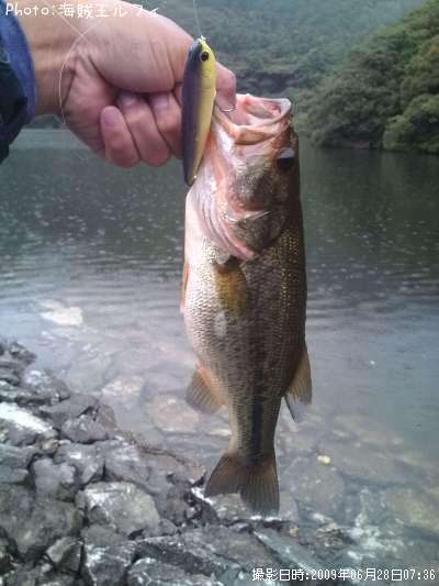 �֥�å��Х�