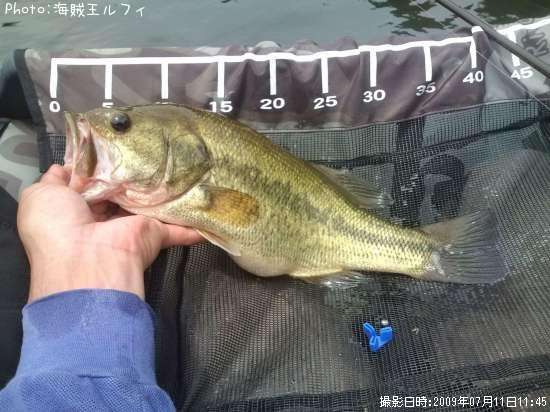 �֥�å��Х�