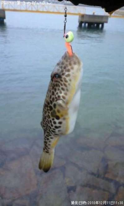 �����ե�