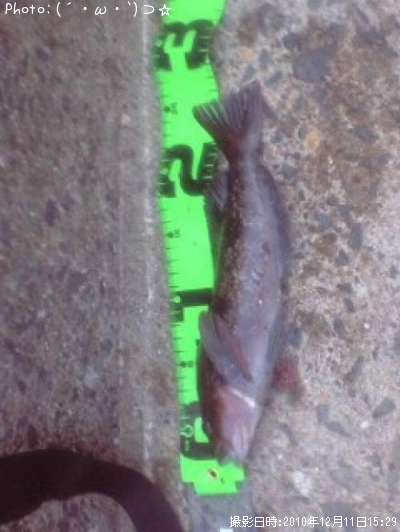 �����ʥ�