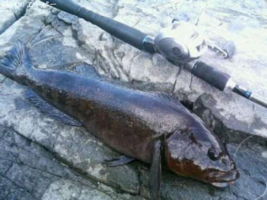 �����ʥ�