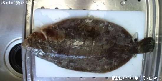 �ʥ᥿���쥤