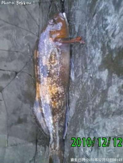 �����ʥ�