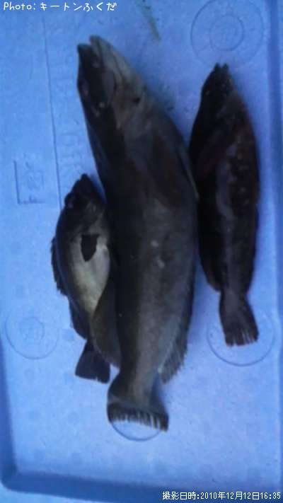 �����ʥ�