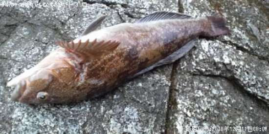 �����ʥ�