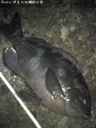 �����᥸��