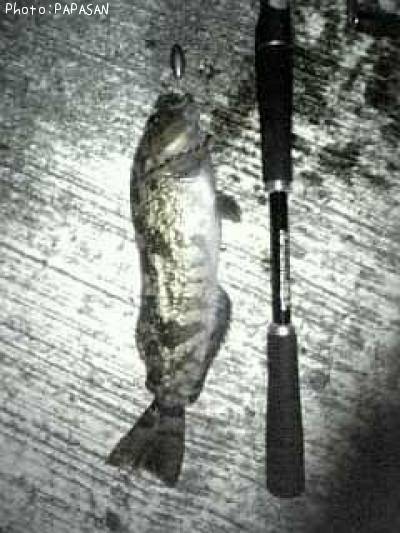 �����ʥ�