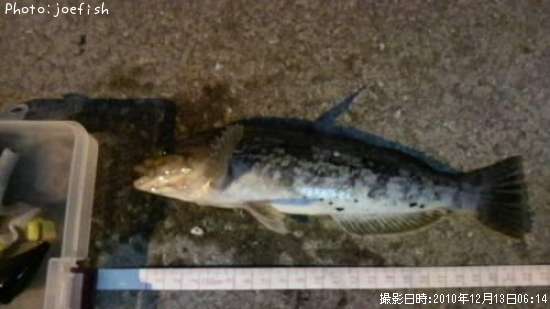 �����ʥ�