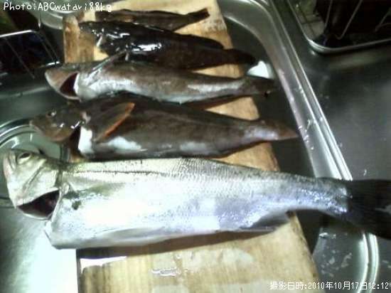 �����Х�