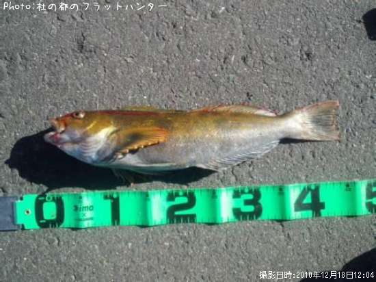 �����ʥ�