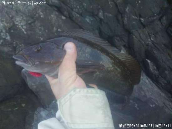 �����ʥ�