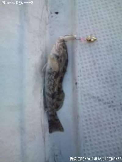 �����ʥ�