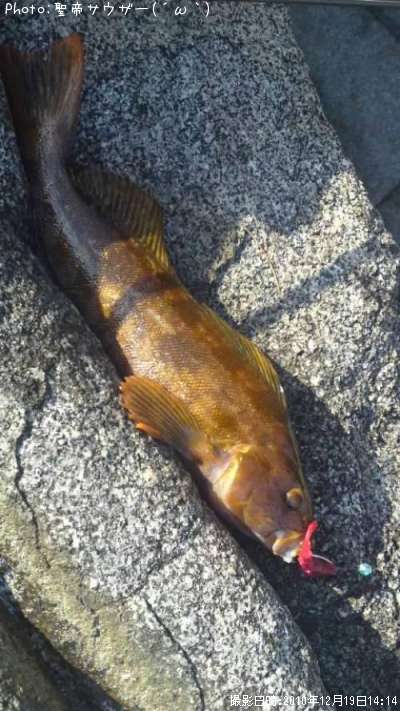 �����ʥ�