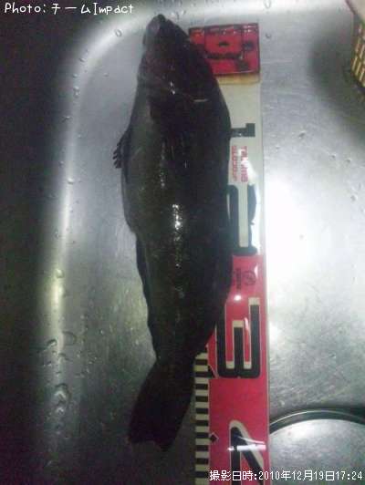 �����ʥ�