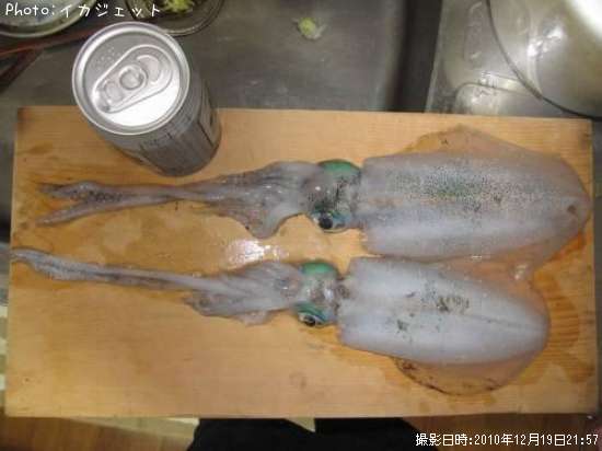 �����ꥤ��