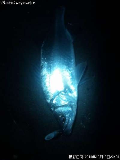 �ҥ饹����