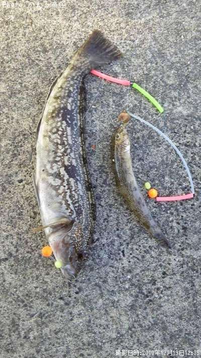 �����ʥ�