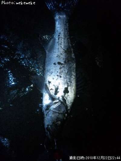 �ҥ饹����