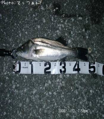 �����ꥯ������