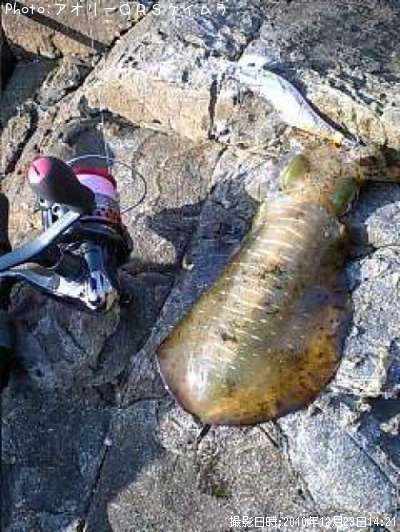 �����ꥤ��