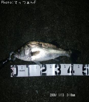 �����ꥯ������