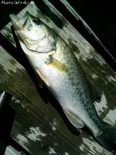 �֥�å��Х�