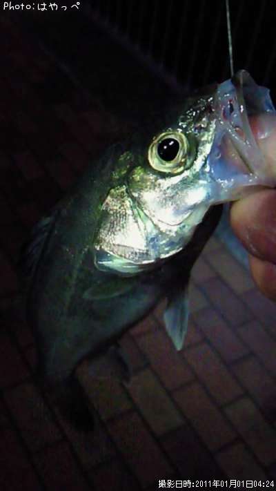 �����Х�