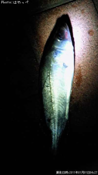 �����Х�