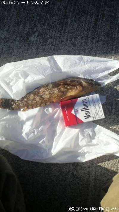 �����ʥ�