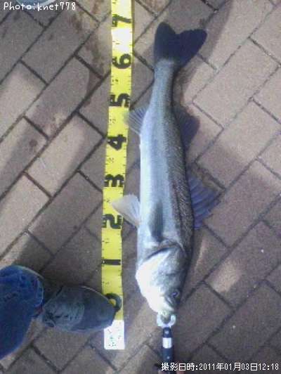 �����Х�