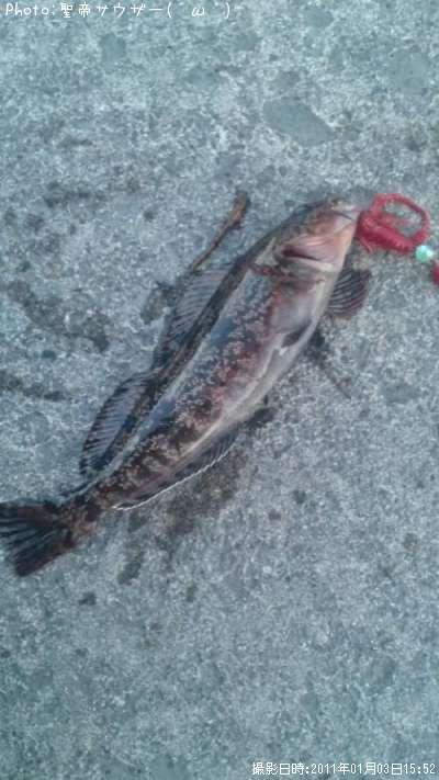 �����ʥ�