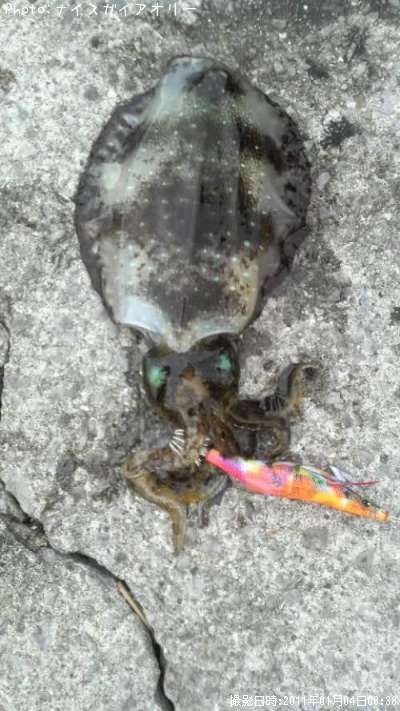 �����ꥤ��