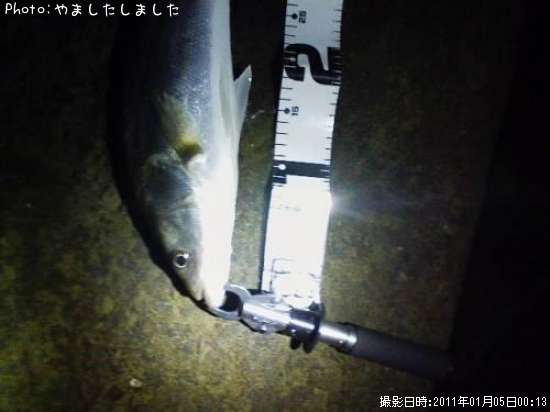 �����Х�