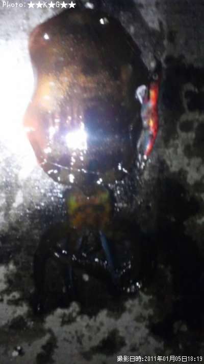 �����ꥤ��